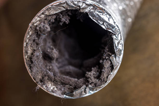 Best Dryer Vent Cleaning in Carthage, NY